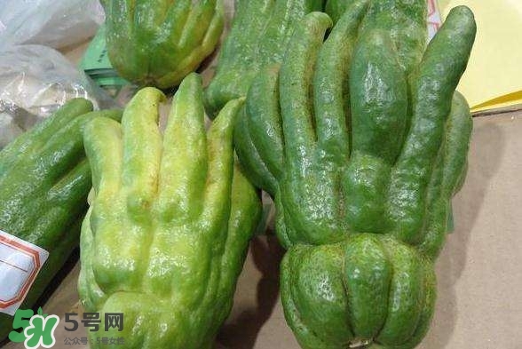 佛手與佛手瓜有什么區(qū)別？佛手與佛手鉗有什么區(qū)別