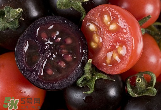 藍(lán)莓和番茄能一起吃嗎？藍(lán)莓和西紅柿能一起吃嗎？