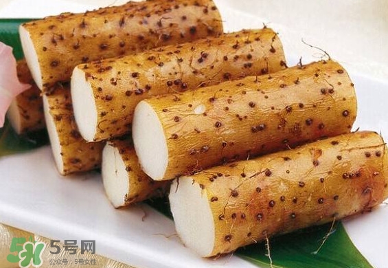 懷山藥是生山藥嗎？懷山藥是鐵棍山藥嗎