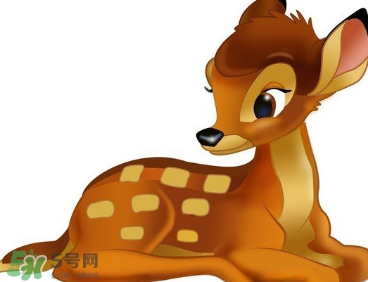 斑比跪是什么意思？斑比跪是什么坐勢