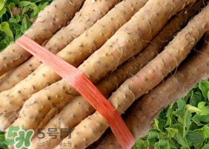 懷山藥可以生吃嗎？懷山藥怎么吃最好