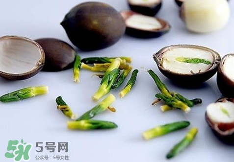 蓮子心能吃嗎？蓮子心是藥食同源嗎