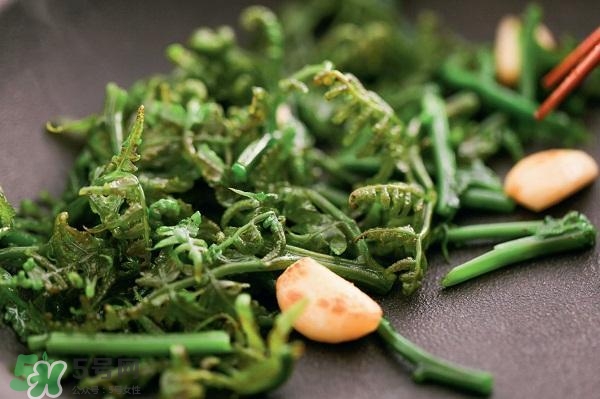 龍須菜怎么清洗？龍須菜怎么處理？