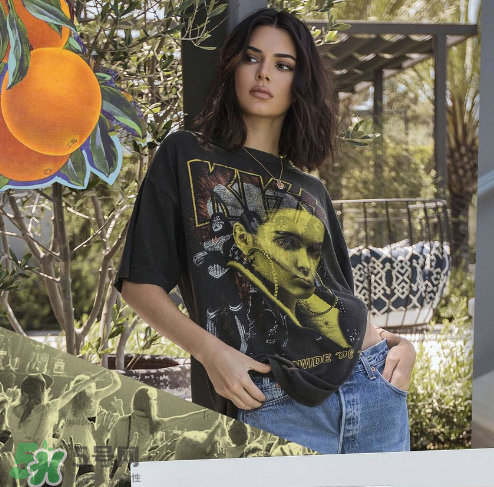 kendall kylie2017復古系列短袖t恤怎么樣_好看嗎_款式有哪些？