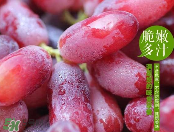 無籽紅提有涂避孕藥嗎？無籽紅提是轉(zhuǎn)基因嗎？