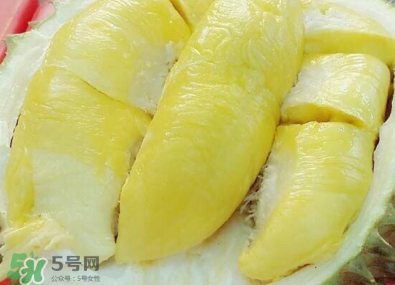 托曼尼榴蓮多大？托曼尼榴蓮好吃嗎？