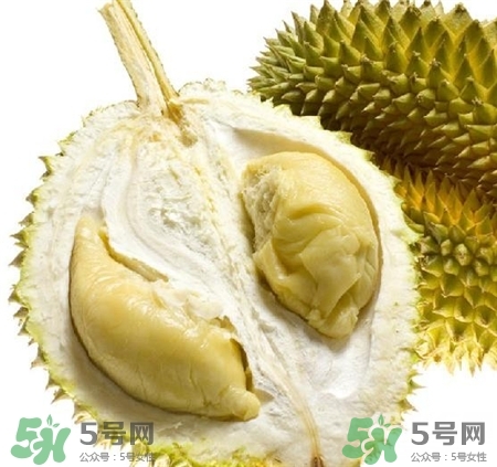 D24榴蓮是什么?D24榴蓮多少錢(qián)一斤?