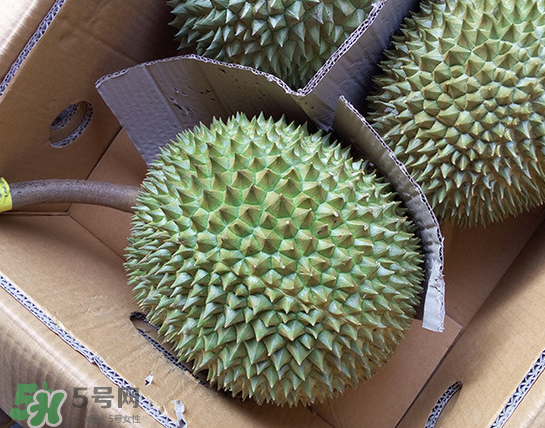 干堯榴蓮怎么樣算熟了？干堯榴蓮怎么挑選？