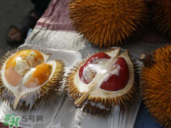 榴蓮核可以煲湯嗎？榴蓮核可以煲雞湯嗎？