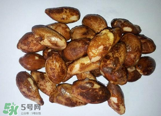 榴蓮核可以煲湯嗎？榴蓮核可以煲雞湯嗎？