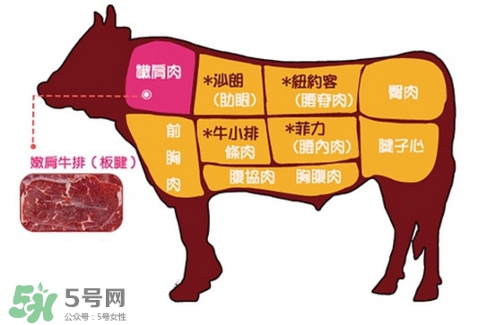 牛排是牛的哪個(gè)部位？牛排是牛身上哪塊肉？