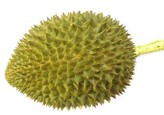 托曼尼榴蓮多少錢？托曼尼榴蓮是哪里的？