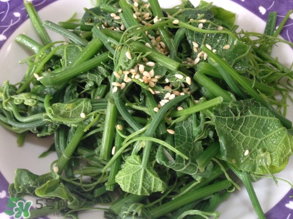 龍須菜怎么清洗？龍須菜怎么處理？