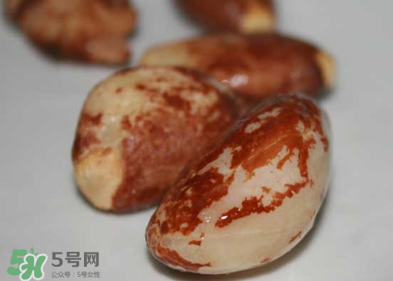 榴蓮核可以煲湯嗎？榴蓮核可以煲雞湯嗎？