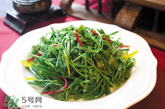龍須菜是什么菜？龍須菜怎么吃？