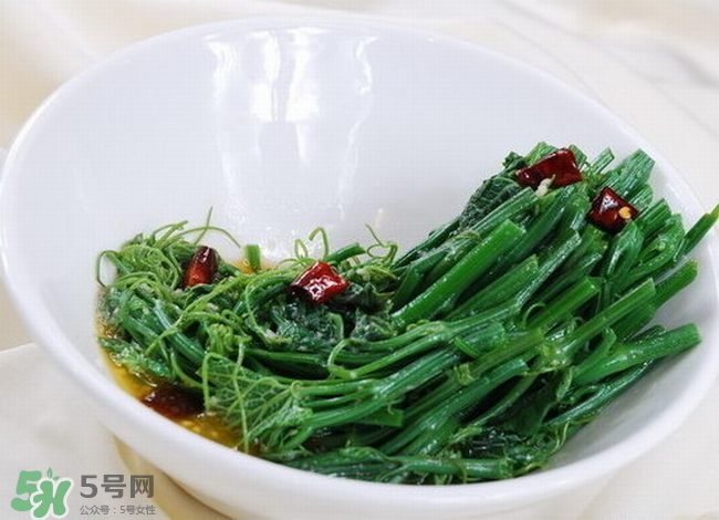 龍須菜是什么菜？龍須菜怎么吃？