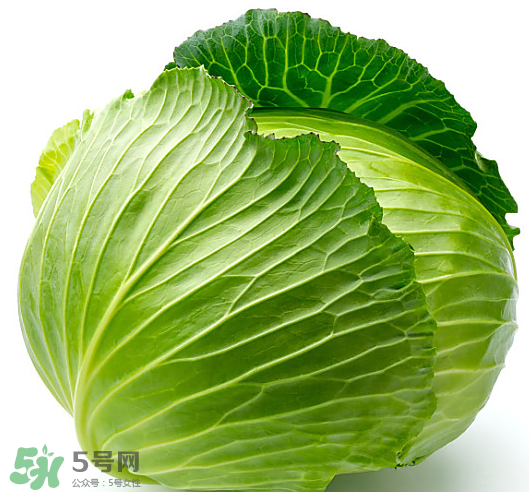 8月份吃什么蔬菜？八月份適合吃什么蔬菜？