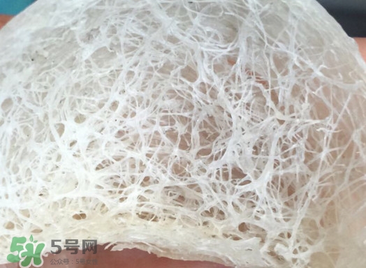 馬來(lái)西亞燕窩好還是印尼好？馬來(lái)西亞燕窩和印尼燕窩區(qū)別