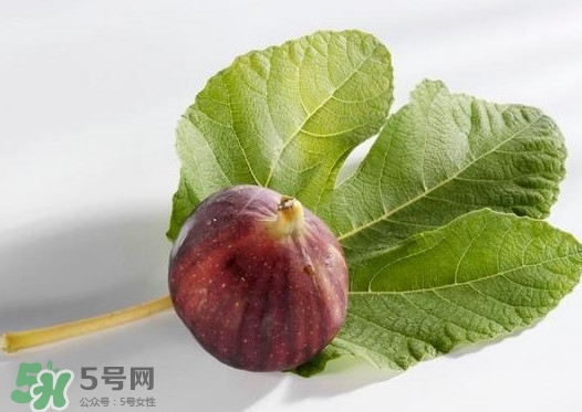 無(wú)花果葉子煮水有什么作用？無(wú)花果葉泡水喝的功效