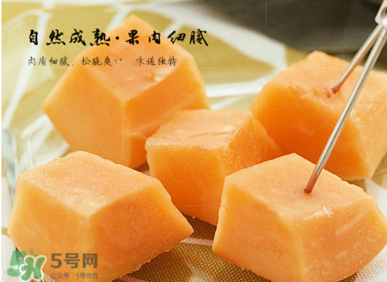 西州蜜瓜什么季節(jié)熟？西州蜜瓜幾月份成熟？