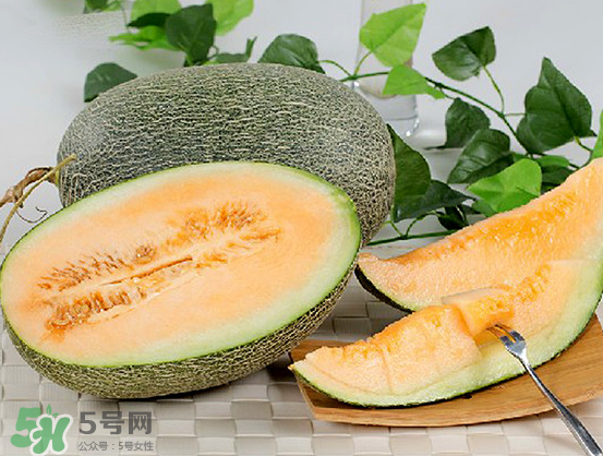西州蜜瓜什么季節(jié)熟？西州蜜瓜幾月份成熟？