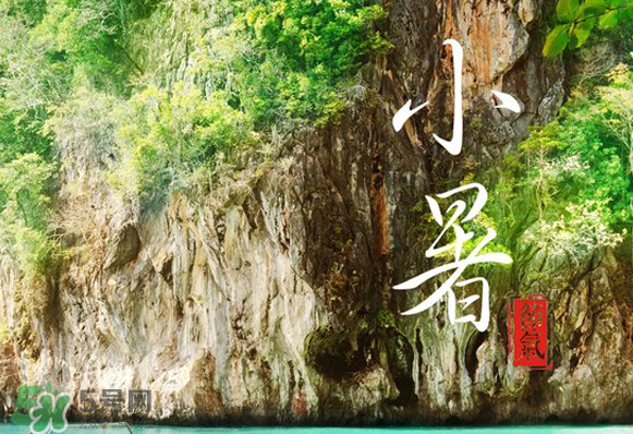 小暑是入伏嗎？小暑是不是入伏？