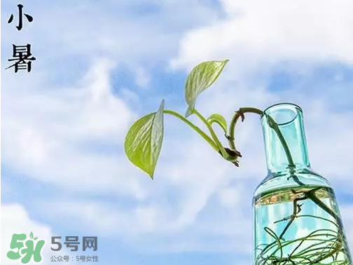 小暑是頭伏嗎？小暑是初伏嗎？