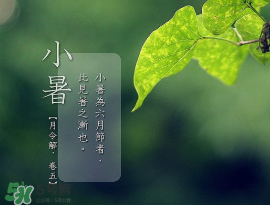 2017年小暑會(huì)下雨嗎？小暑這一天下雨好嗎？