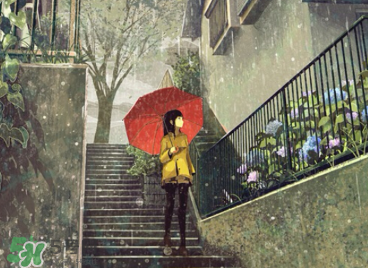 2017年小暑會(huì)下雨嗎？小暑這一天下雨好嗎？