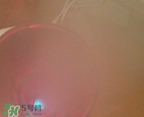 松下蒸臉器和金稻哪個好？松下蒸臉器和金稻蒸臉器對比