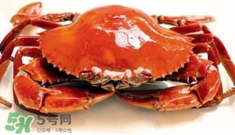 石夾紅螃蟹什么時候有？石夾紅螃蟹什么時候最肥