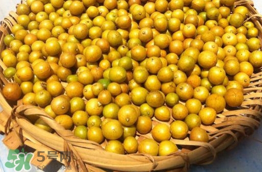 黃皮果是小金橘嗎？黃皮果和小金橘的區(qū)別