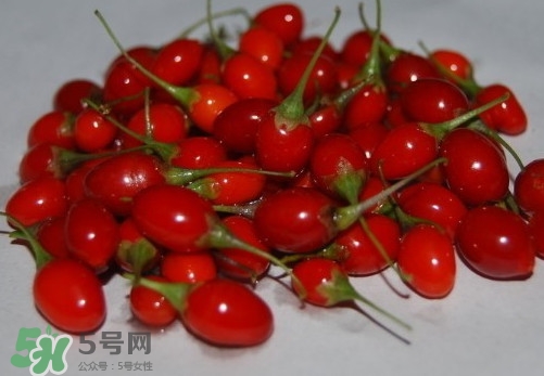 枸杞鮮果怎么吃？吃枸杞鮮果有什么好處