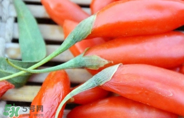 青海和寧夏枸杞哪個好？青海枸杞和寧夏枸杞的區(qū)別