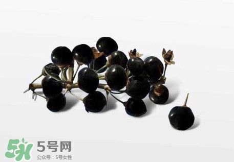 新鮮枸杞多少錢一斤？2017枸杞鮮果價格