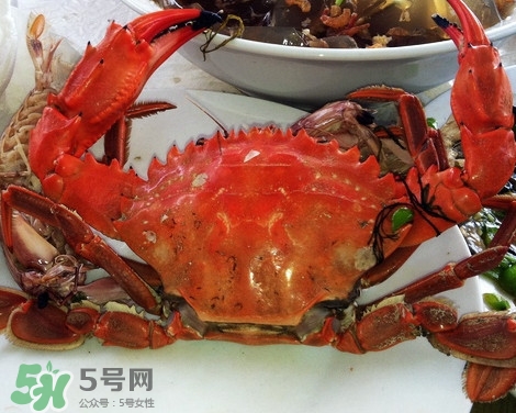 石夾紅螃蟹什么時候有？石夾紅螃蟹什么時候最肥
