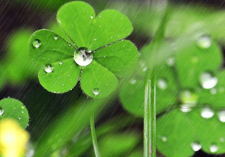 2017年小暑會下雨嗎？小暑這一天下雨好嗎？