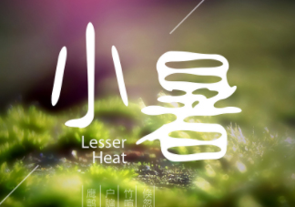 小暑是頭伏嗎？小暑是初伏嗎？