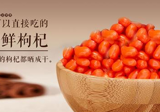 枸杞鮮果能吃嗎？鮮枸杞好還是干枸杞好