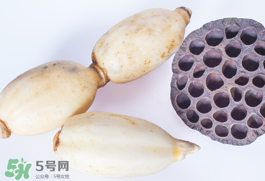 蓮蓬和蓮藕一樣嗎？蓮蓬和蓮藕的區(qū)別