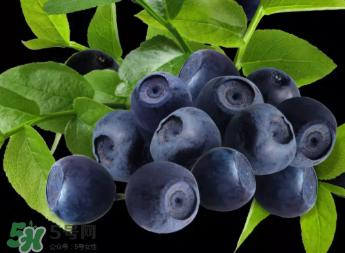 新鮮藍(lán)莓可以直接吃嗎？新鮮藍(lán)莓怎么吃才好吃？