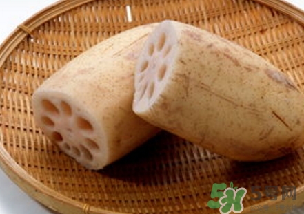 紅蓮藕和白蓮藕哪個(gè)好？紅蓮藕和白蓮藕區(qū)別