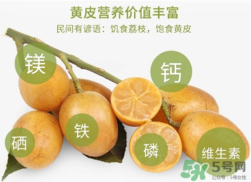 孕婦可以吃黃皮嗎？孕婦吃黃皮有什么好處