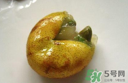 黃皮果核能治療什么?。奎S皮核的功效與作用