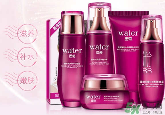 一枝春是什么牌子？一枝春化妝品怎么樣