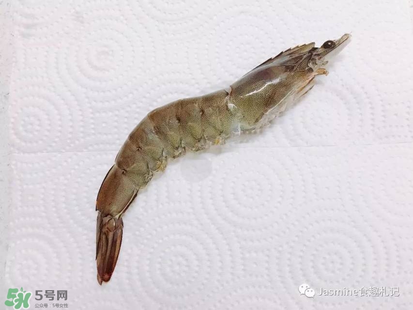 活基圍蝦怎么保存？活基圍蝦怎么處理干凈？