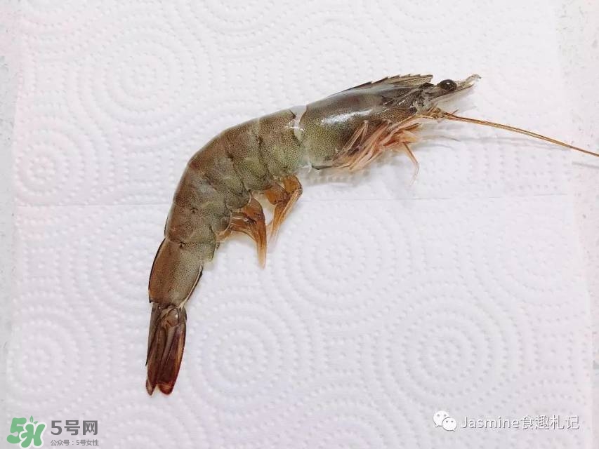 活基圍蝦怎么保存？活基圍蝦怎么處理干凈？