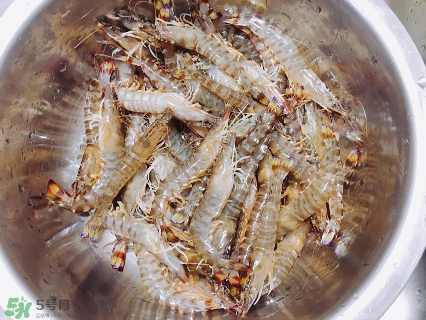 活基圍蝦怎么保存？活基圍蝦怎么處理干凈？