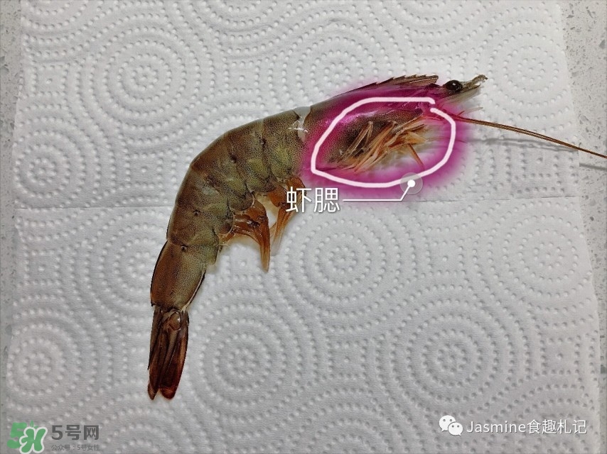 活基圍蝦怎么保存？活基圍蝦怎么處理干凈？