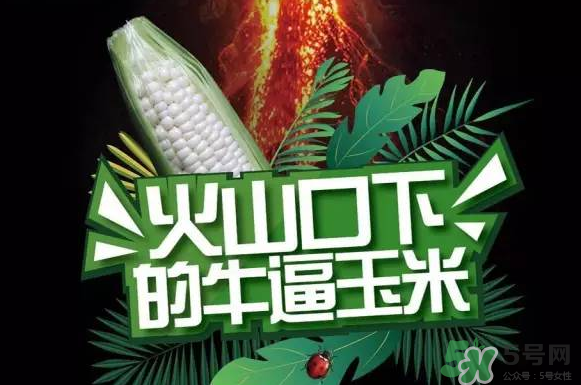 微玉冰糖玉米小孩可以吃嗎？微玉冰糖玉米營養(yǎng)豐富嗎？